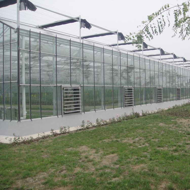 How to prevent water leakage in multi-span glass greenhouses and PC solar panels How to prevent water leakage in multi-span glass greenhouses and PC solar panels