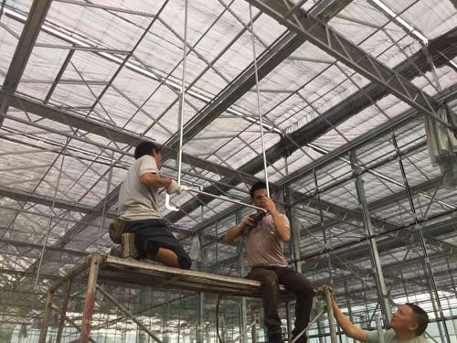The workers install the glass greenhouse frame The workers install the glass greenhouse frame