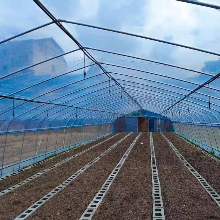Single-Span greenhouse for agricultural Single-Span greenhouse for agricultural