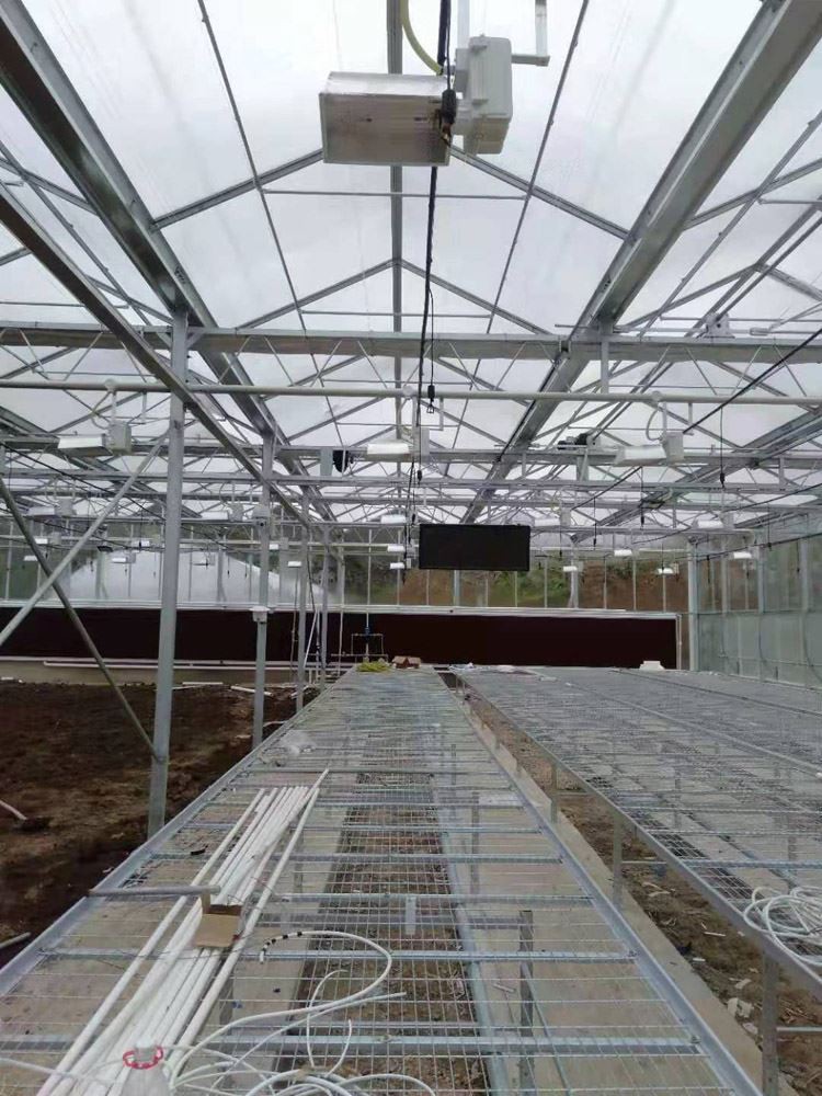 Agricultural Greenhouse Agricultural Greenhouse