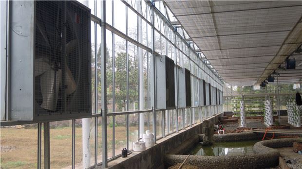 Multi-span greenhouse