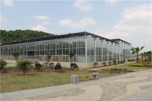 What are the advantages of using glass greenhouses