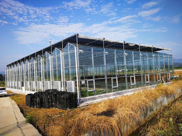Vegetable greenhouse film. How to deal with the dust on it