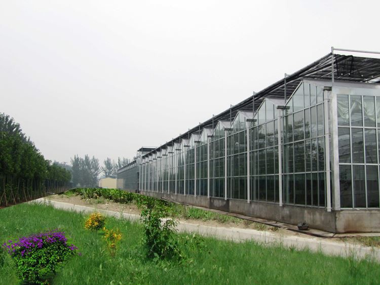 multi-span greenhouse