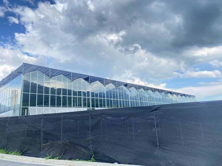 Where is the greenhouse not recommended to be built Where is the greenhouse not recommended to be built