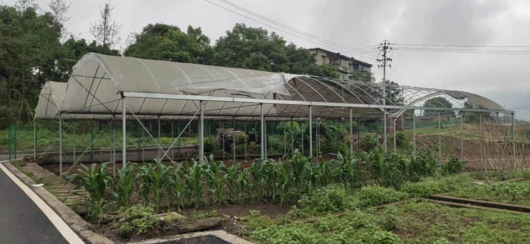 Greenhouse Greenhouse