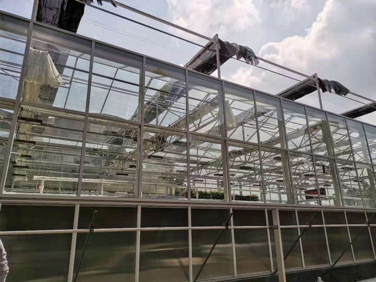 How to design a tall landscape glass greenhouse