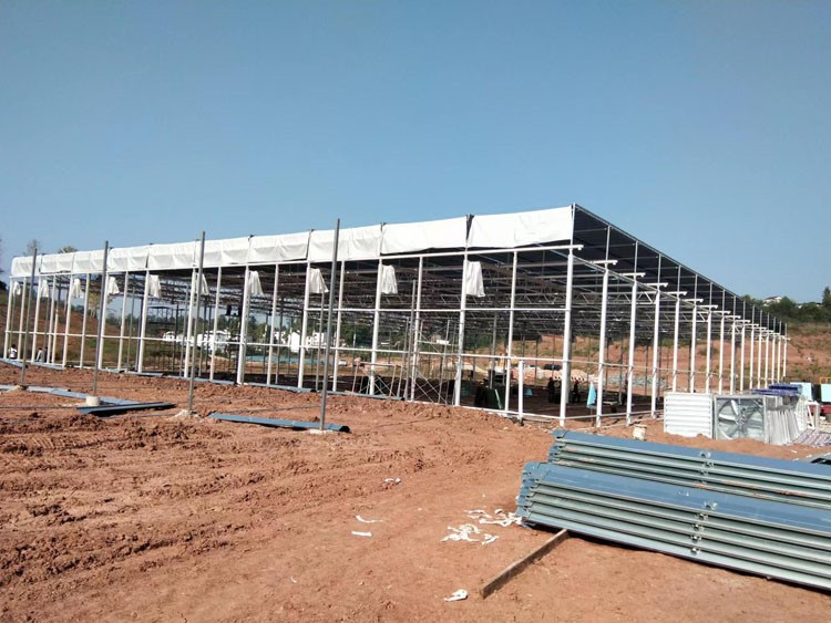 How to effectively cool down the vegetable greenhouse