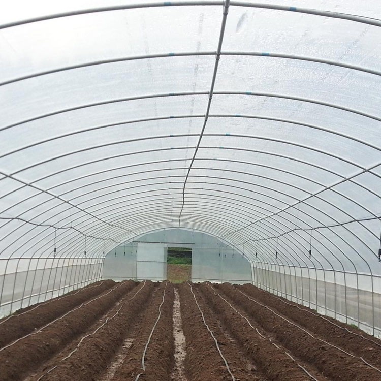 Single Greenhouse