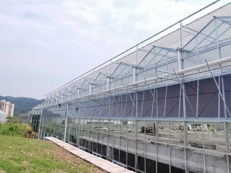 Glass Agricultural Greenhouse Glass Agricultural Greenhouse
