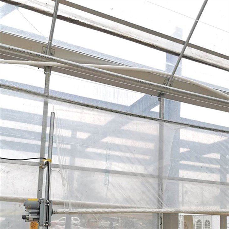 6 mil greenhouse plastic factory