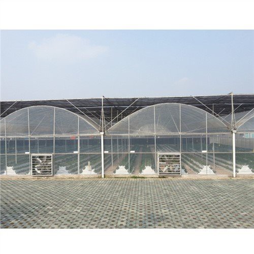 200 micron nhà kính nhựa
