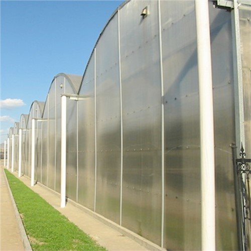 Tấm polycarbonate 4mm