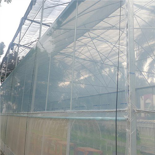 Tấm nhựa 6 triệu cho nhà kính