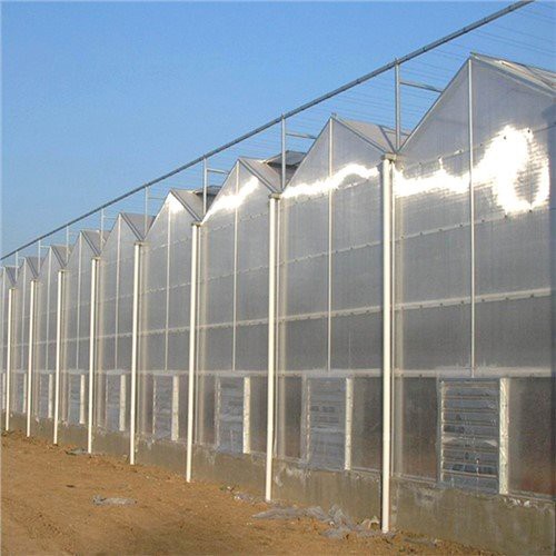 Nhà kính nông nghiệp nhiều tầng