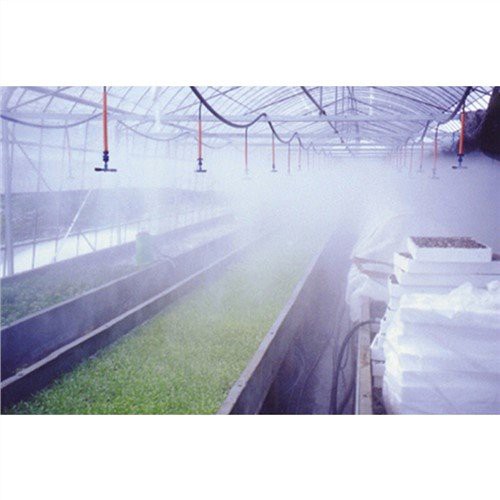Thủy lợi nước nhỏ giọt nhà kính
