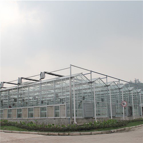 Nhà kính sheeting Polycarbonate