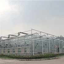 Nhà kính sheeting Polycarbonate