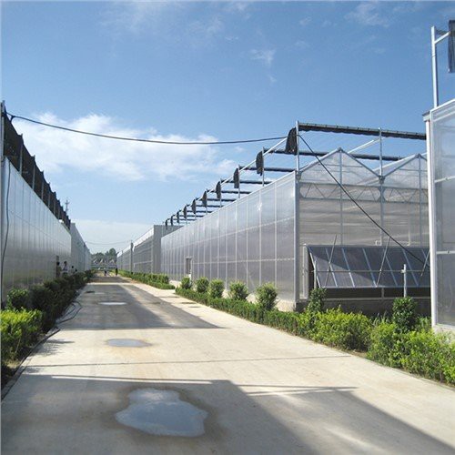 Nhà kính đa dạng Glass