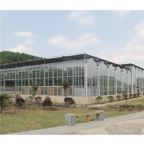 Tấm polythene cho nhà kính