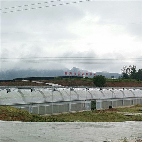 Nhựa nhà kính gia cố