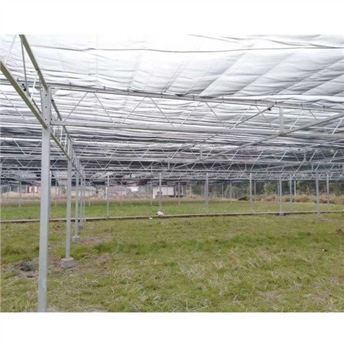 Nhà kính Polythene nhỏ
