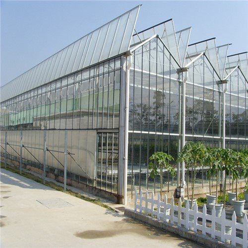 Nhà kính đa nhịp trong suốt