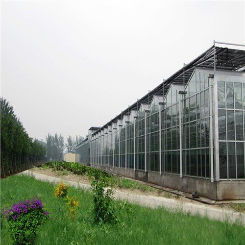 Nhà kính Victoria Glass Venlo